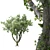 Speed Tree Model for Stunning Corona Renders 3D model small image 1