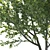 Speed Tree Model for Stunning Landscape 3D model small image 3