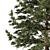 Japanese Larch: Majestic Mountain Tree 3D model small image 2