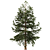 Japanese Larch: Majestic Mountain Tree 3D model small image 4