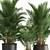 Tropical Plant Collection: Exotic Palms in Rustic Pots 3D model small image 4