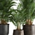 Tropical Plant Collection: Exotic Palms in Rustic Pots 3D model small image 5