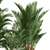 Tropical Plant Collection: Exotic Palms in Rustic Pots 3D model small image 6
