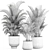 Tropical Plant Collection: Exotic Palms in Rustic Pots 3D model small image 1