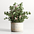 Elegant Marble Vase for Bouquet 3D model small image 1