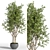 Green Oasis Indoor Plant Set 3D model small image 2