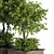 Outdoor Evergreen Tree - 10ft 3D model small image 3