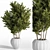 Lush Indoor Plant Set: 21 Varieties 3D model small image 1