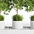 Outdoor Tree Plants 11 3D model small image 3