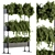 Green Oasis: Indoor Plant Set 3D model small image 2