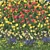 Flower Garden Paradise: Tulip, Narcissus, Muscari, Ficaria verna & Dandelion 3D model small image 4