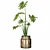 Lush Greenery: Philodendron Xanadu 3D model small image 5