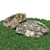 360° Scanned Landscape Stones 3D model small image 5