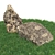 Title: Scanned Stones for Landscaping 3D model small image 6