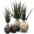 Handcrafted Clay Vases with Eucalyptus 3D model small image 1