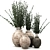 Handcrafted Clay Vases with Eucalyptus 3D model small image 3