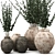 Handcrafted Clay Vases with Eucalyptus 3D model small image 4