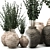 Handcrafted Clay Vases with Eucalyptus 3D model small image 6