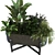 Elegant Plant Box Set 062 3D model small image 4