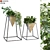 Elegant Plant Vase Set 3D model small image 1