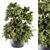 Green Oasis - Outdoor Plant Set 3D model small image 1