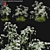 Wildflower 3D Model Set 3D model small image 1