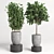 Modern Concrete Vase: Indoor Plant Collection 3D model small image 2