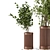 Wooden Pot Indoor Plant Set 3D model small image 2