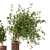 Wooden Pot Indoor Plant Set 3D model small image 3