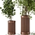 Wooden Pot Indoor Plant Set 3D model small image 5