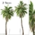 Exquisite Set: 2 Kentia Palm Trees 3D model small image 1
