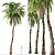 Exquisite Set: 2 Kentia Palm Trees 3D model small image 2