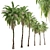 Exquisite Set: 2 Kentia Palm Trees 3D model small image 3