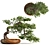 Bonsai Master Kit: 3D Model & Render 3D model small image 1