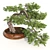 Bonsai Master Kit: 3D Model & Render 3D model small image 3