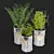 Fresh Herb Trio for the Kitchen 3D model small image 3