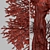 Hangzhou Elm Tree Set (2 Trees) 3D model small image 7