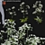Forest Flower 3D Model Bundle 3D model small image 1