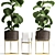 Tropical Plant Collection: Exotic Ficus Lyrata in Stylish Zara Home Pot 3D model small image 2