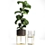 Tropical Plant Collection: Exotic Ficus Lyrata in Stylish Zara Home Pot 3D model small image 4