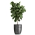 Exotic Plant Collection - Tropical Foliage for Indoor & Outdoor Decoration 3D model small image 3
