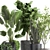 Exotic Plant Collection - Tropical Foliage for Indoor & Outdoor Decoration 3D model small image 5