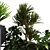 Greenery Box Set 066: Indoor Plant in Stylish Display 3D model small image 3