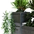 Greenery Box Set 066: Indoor Plant in Stylish Display 3D model small image 4