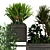 Greenery Box Set 066: Indoor Plant in Stylish Display 3D model small image 6