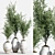Olive Greenery Indoor Plant Set 3D model small image 1