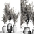 Olive Greenery Indoor Plant Set 3D model small image 3