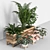 Lush Indoor Plant Set 3D model small image 7