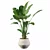 Exquisite Strelitzia: Plants Collection 105 3D model small image 2
