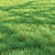 Lush Green Grass for Landscaping 3D model small image 6